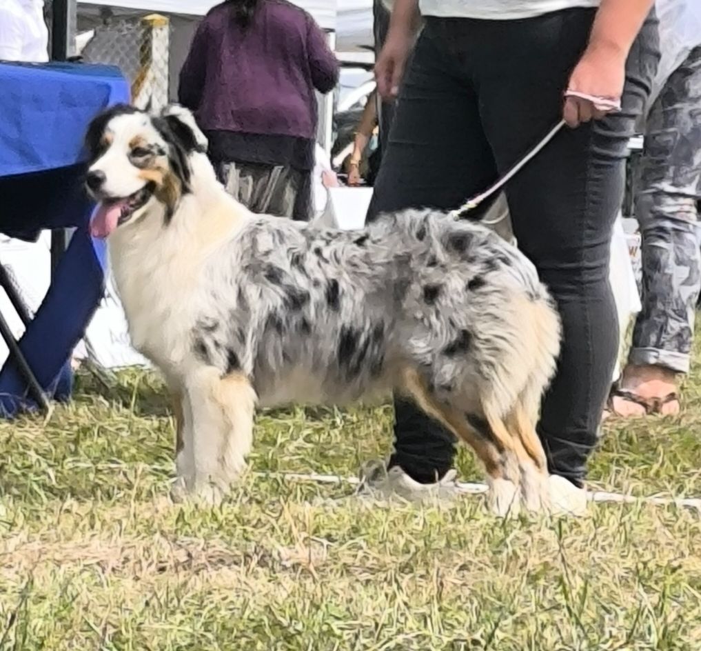 Una chanel Du Royaume d'Amasa
